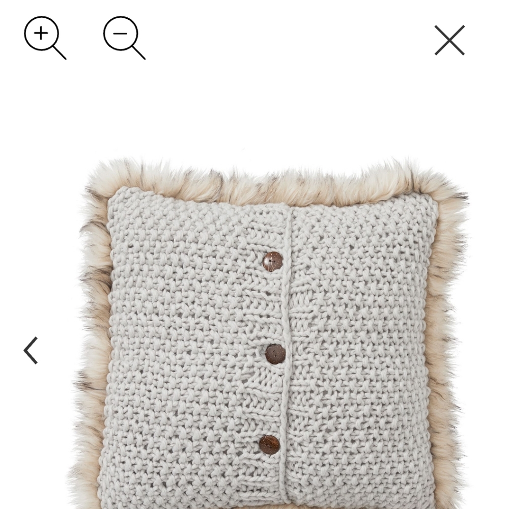 Pottery Barn pillow covers